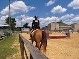 A person riding a horse is visible, wearing formal equestrian attire, including a helmet with a number. The scene is set in an outdoor equestrian arena, with obstacles for jumping. The area is surrounded by buildings and bleachers, and the sky is clear with scattered clouds.