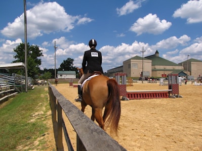 Close-up of a rider attaching a digital number to a horse's bridle in a sunny outdoor arena