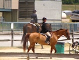 Two equestrians on horseback in an outdoor arena. Both riders are wearing helmets and formal riding attire. The background features a stable-like building and other parked vehicles. The scene has a relaxed and sunny ambiance.