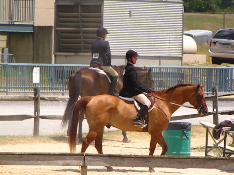 Two equestrians on horseback in an outdoor arena. Both riders are wearing helmets and formal riding attire. The background features a stable-like building and other parked vehicles. The scene has a relaxed and sunny ambiance.