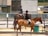 Two equestrians on horseback in an outdoor arena. Both riders are wearing helmets and formal riding attire. The background features a stable-like building and other parked vehicles. The scene has a relaxed and sunny ambiance.