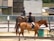 Two equestrians on horseback in an outdoor arena. Both riders are wearing helmets and formal riding attire. The background features a stable-like building and other parked vehicles. The scene has a relaxed and sunny ambiance.