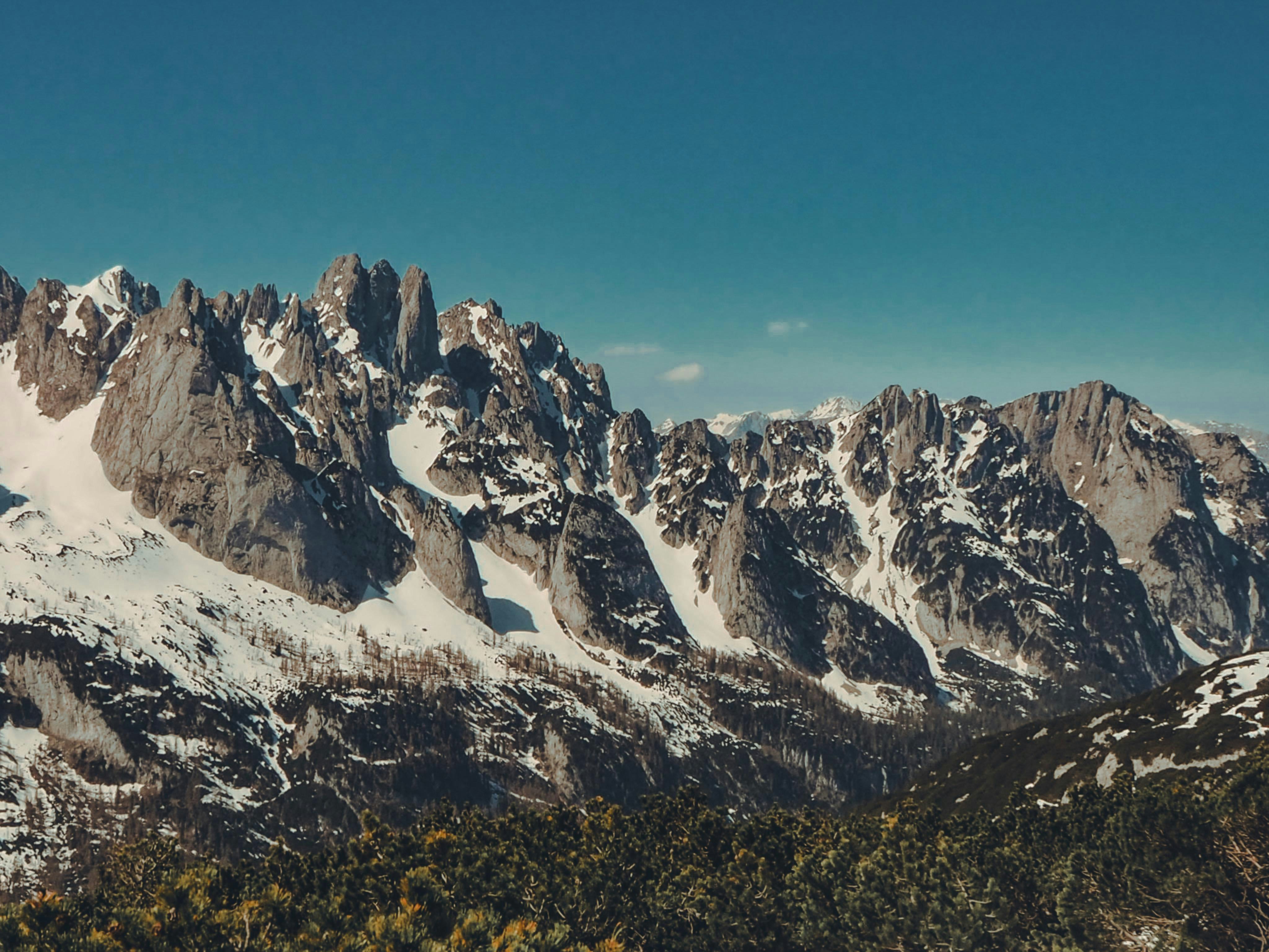 Photo by laurachouette