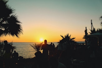 A scenic travel destination showcasing a sunset over the ocean with palm trees.