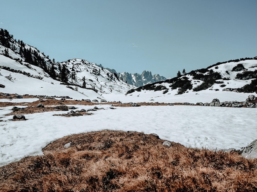 snow covered mountain during daytime