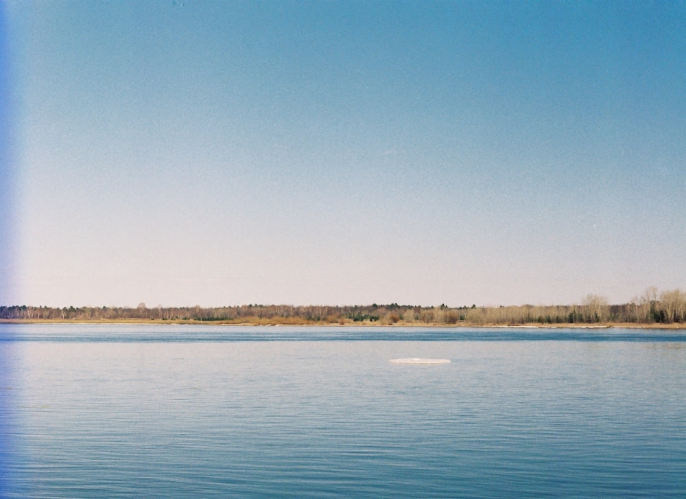 body of water under blue sky during daytime