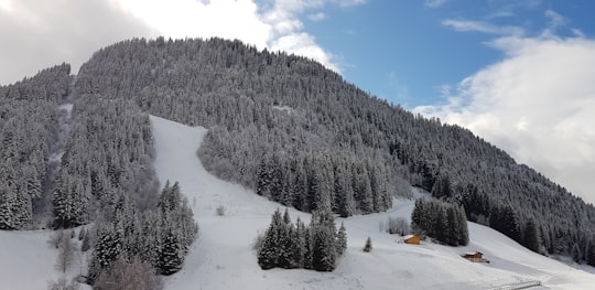 green trees on snow covered ground during daytime in Haute-Savoie France