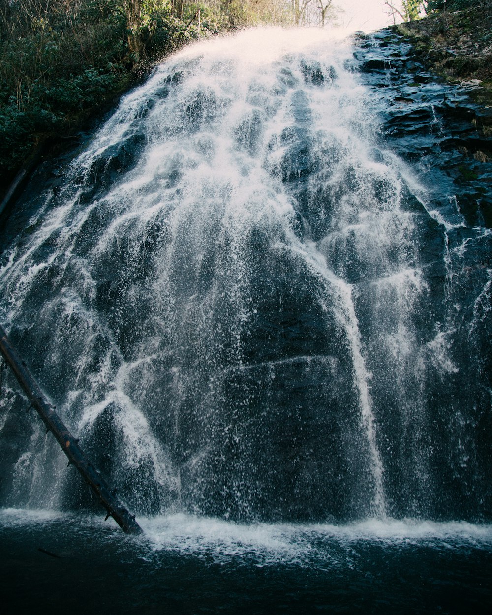 El agua cae sobre el campo de hierba verde durante el día