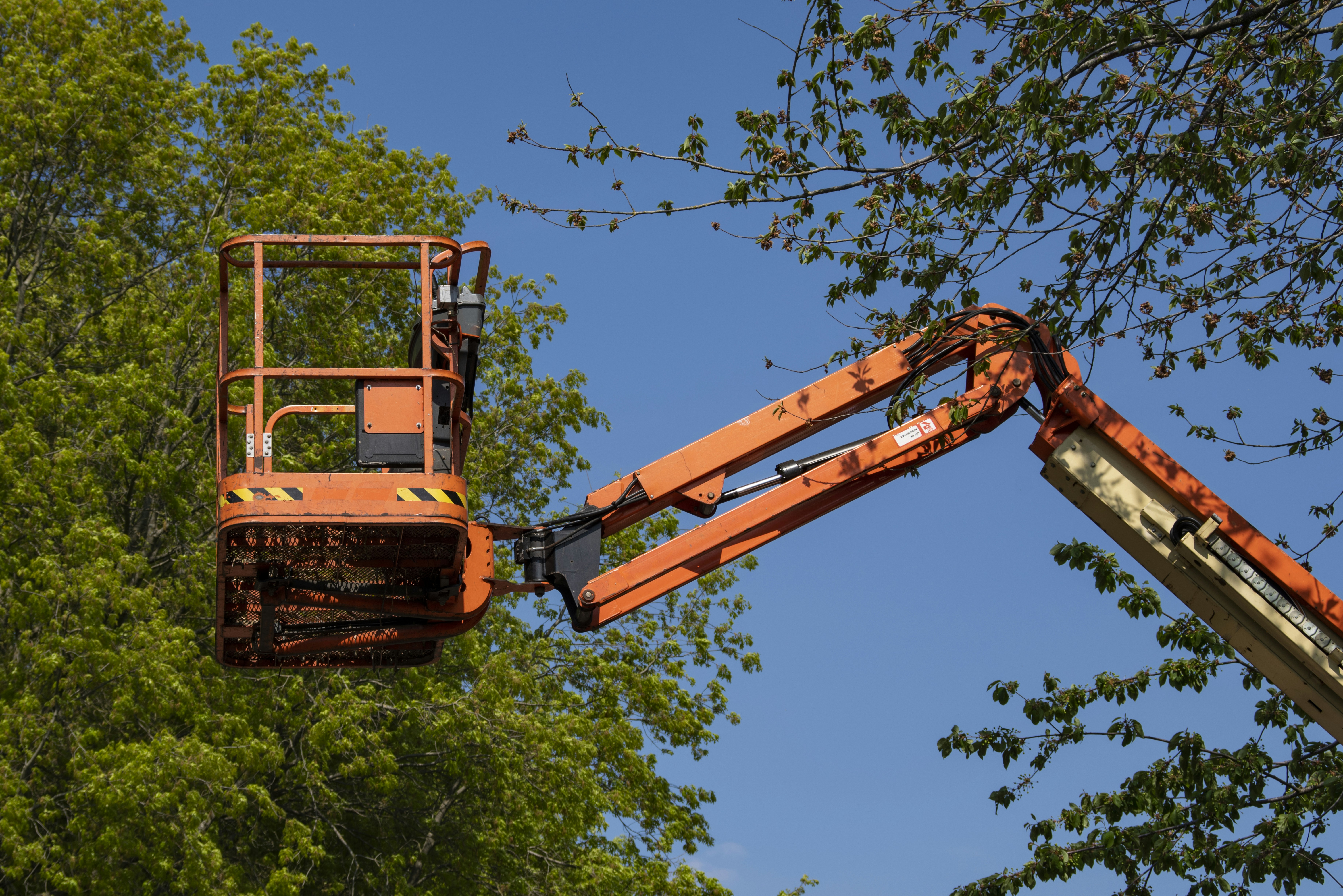 professional crew using a crane to remove a large tree from a house - Emergency storm cleanup