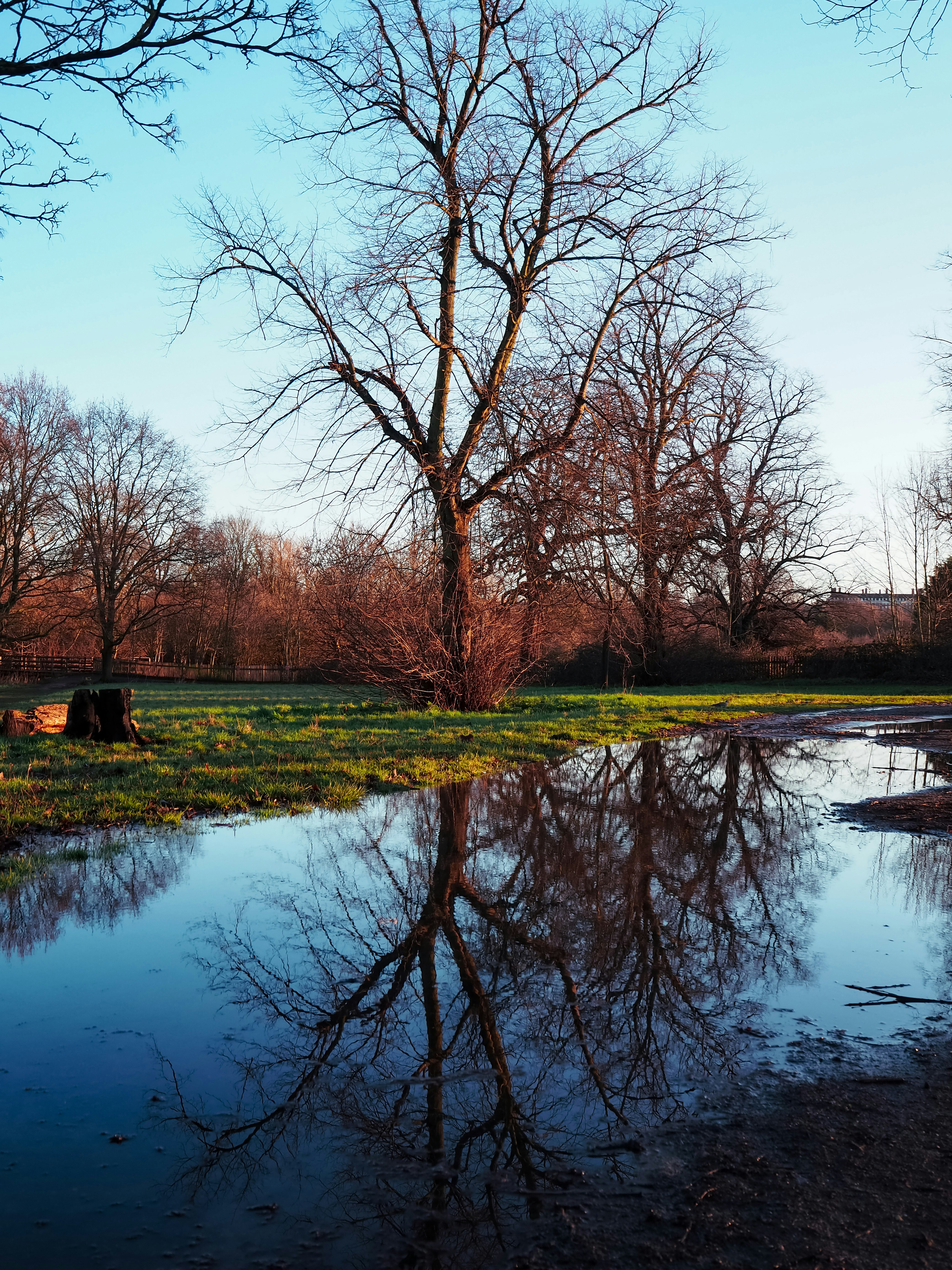 Photo by ravirdjr0111