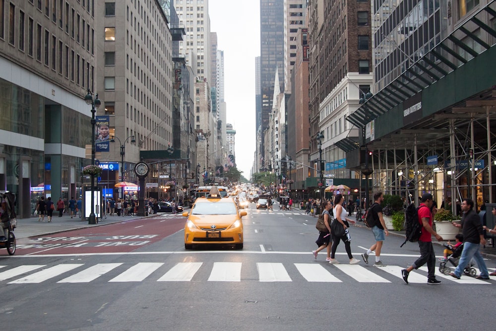 people crossing on pedestrian lane during daytime