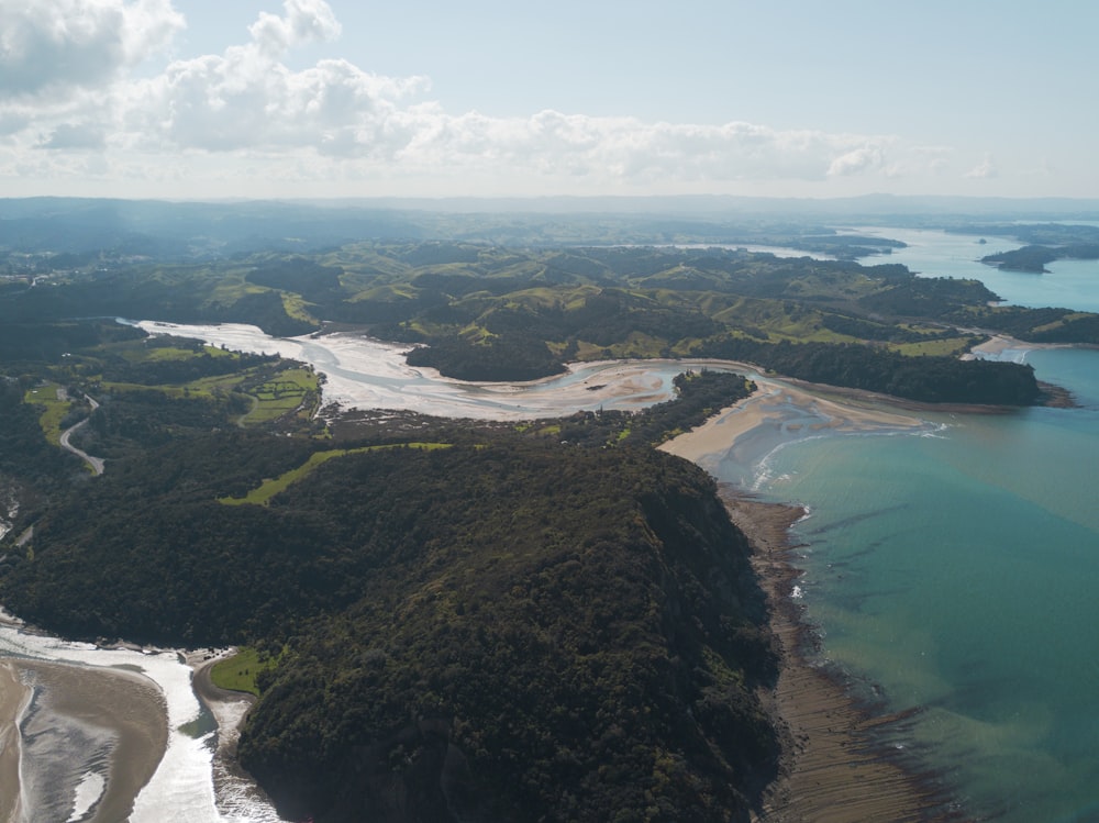 aerial view of green trees and body of water during daytime