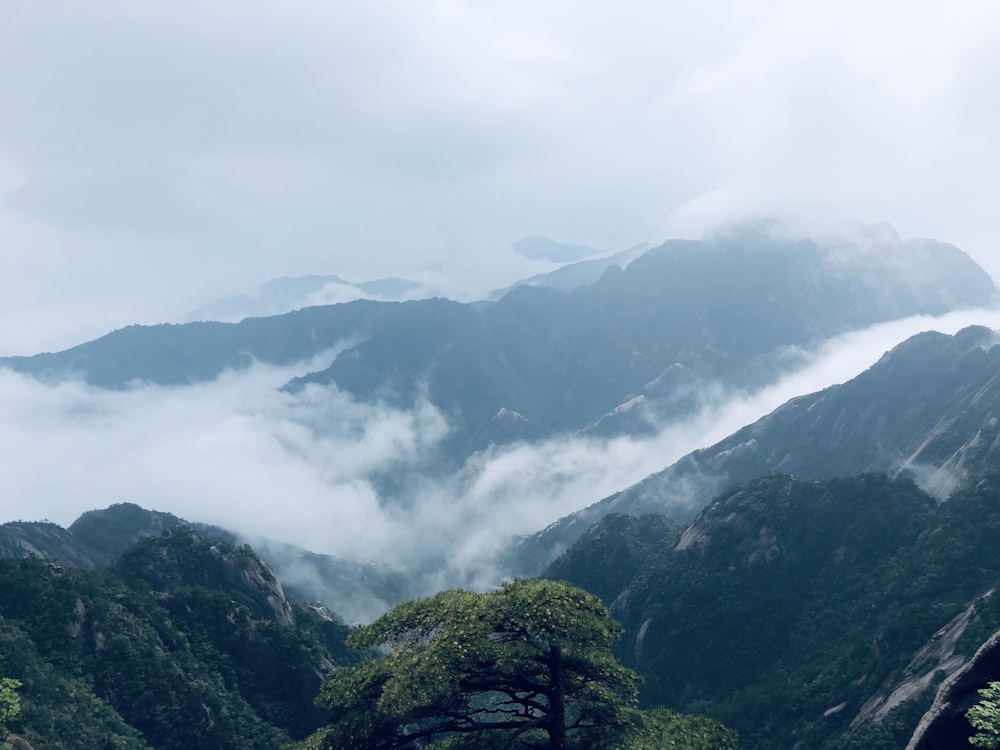 green trees on mountain under white clouds during daytime