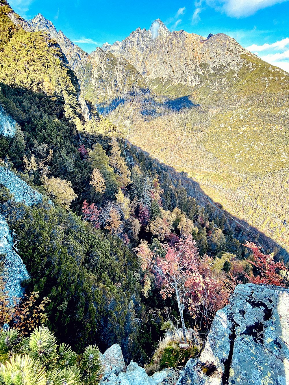 green and brown mountains during daytime