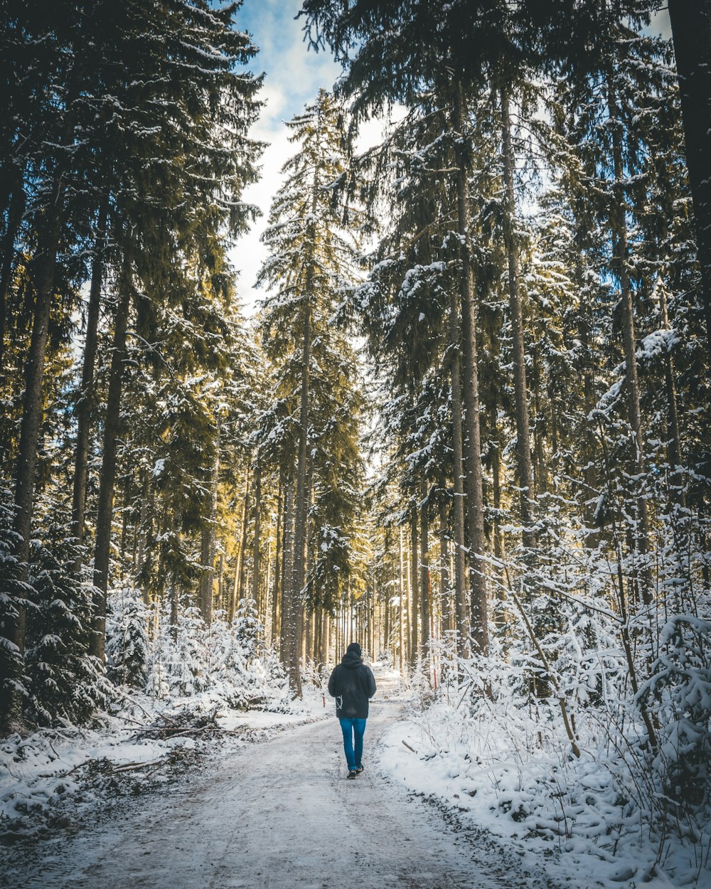 person in blue jacket and blue denim jeans walking on snow covered ground surrounded by trees