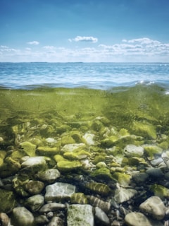 gray rocks on sea shore during daytime