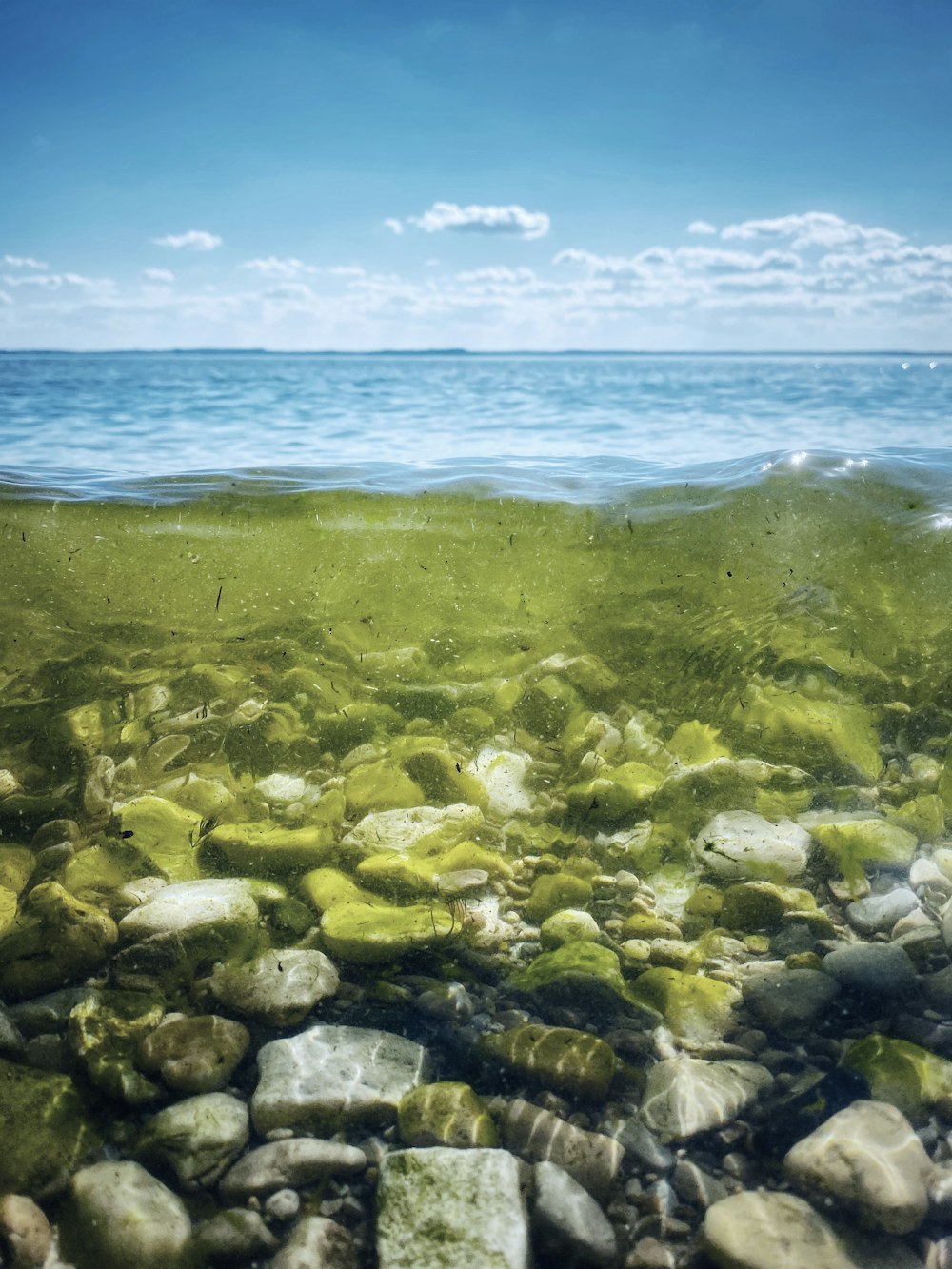 roches grises sur le bord de la mer pendant la journée