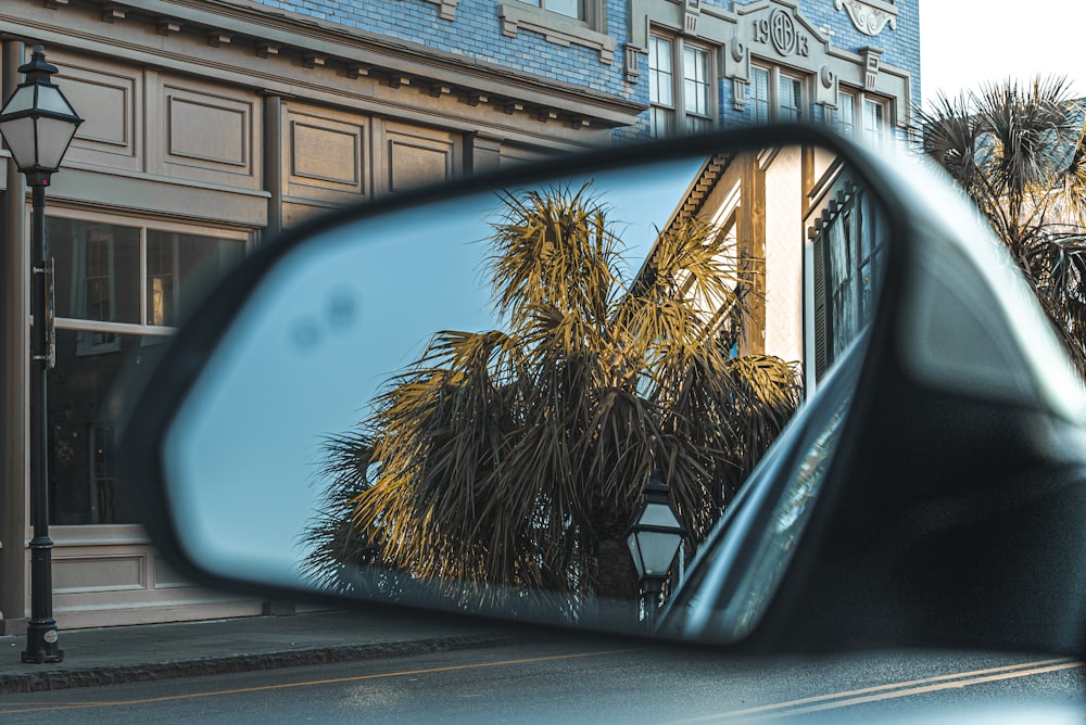 black car side mirror showing palm tree during daytime