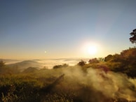 green grass field during sunrise