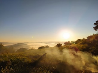 green grass field during sunrise