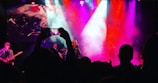 A live concert with vibrant stage lighting in pink, purple, and blue hues. A band performs on stage while a large screen displays artistic imagery in the background. The silhouettes of audience members holding up phones are visible in the foreground, capturing the performance.