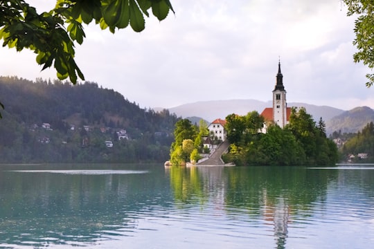 white and brown concrete building near body of water during daytime in Island church Slovenia