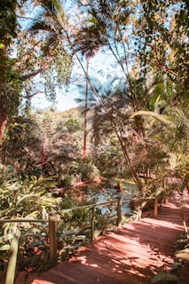 A wooden pathway meanders through a lush, tropical garden filled with various types of palm trees and dense foliage. Sunlight filters through the leaves, creating a dappled pattern on the ground. In the center, a small pond is surrounded by vibrant plants, adding to the serene atmosphere.