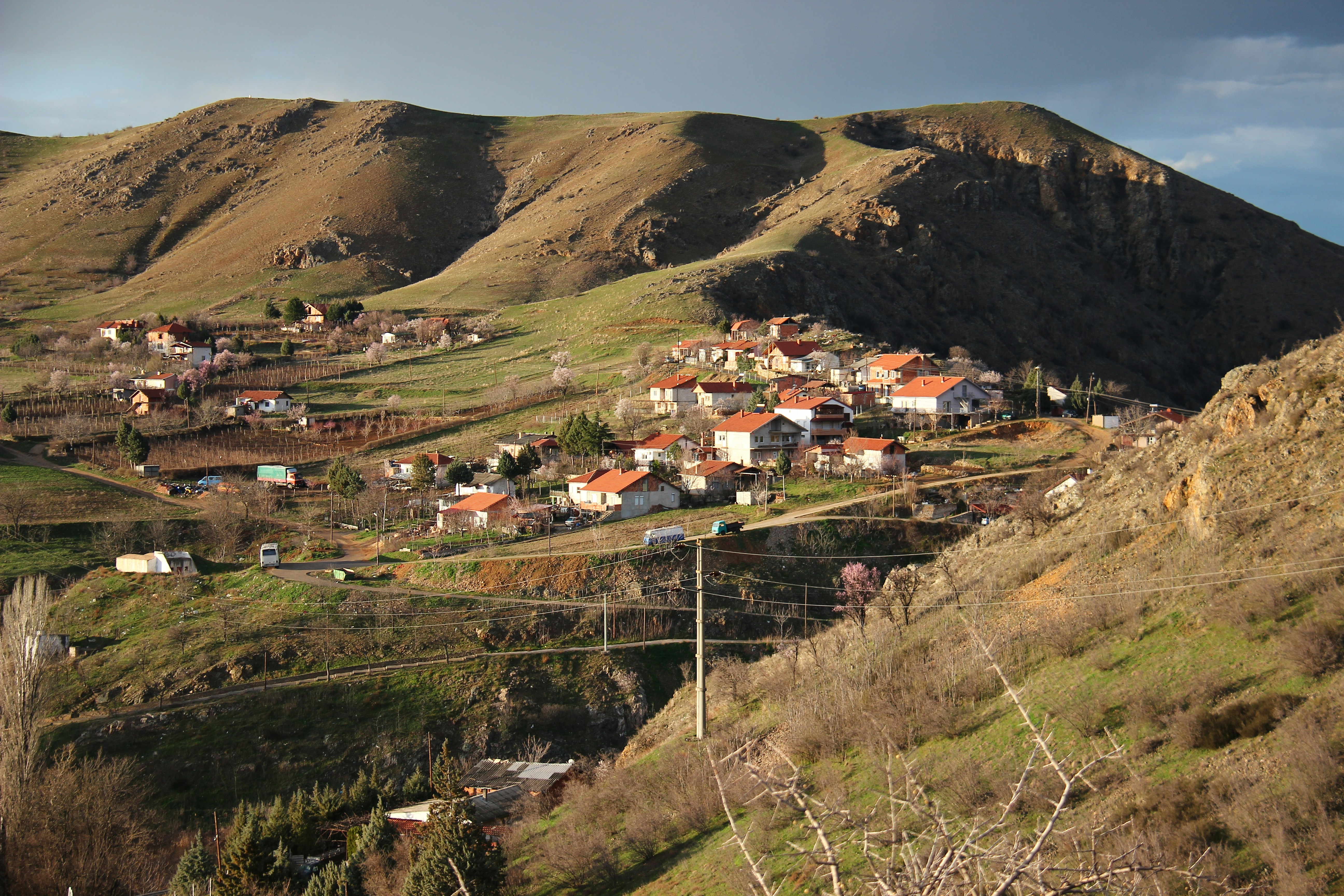 Photo by shalevcohen