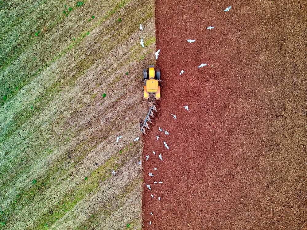 yellow and black toy car on brown dirt