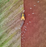 yellow and black toy car on brown dirt