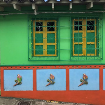 A vibrant wall painted in green with two yellow-framed windows. Below the windows, there is a blue section bordered by red, featuring decorative parrot motifs on branches. The wall exudes a lively and colorful aesthetic.