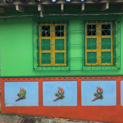 Vibrant wall paints enhancing a living room's ambiance.