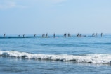 A group of people are paddleboarding on a calm ocean with gentle waves near the shore. The paddleboarders are spread out in a line, each holding a paddle and navigating the water under a clear blue sky.