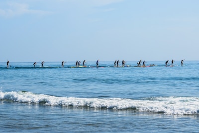 A group of people are paddleboarding on a calm ocean with gentle waves near the shore. The paddleboarders are spread out in a line, each holding a paddle and navigating the water under a clear blue sky.