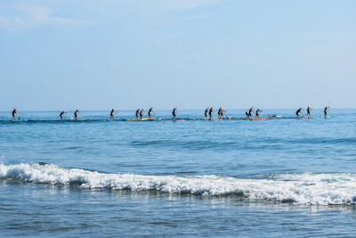 Group of friends practicing yoga on paddleboards in calm ocean waters