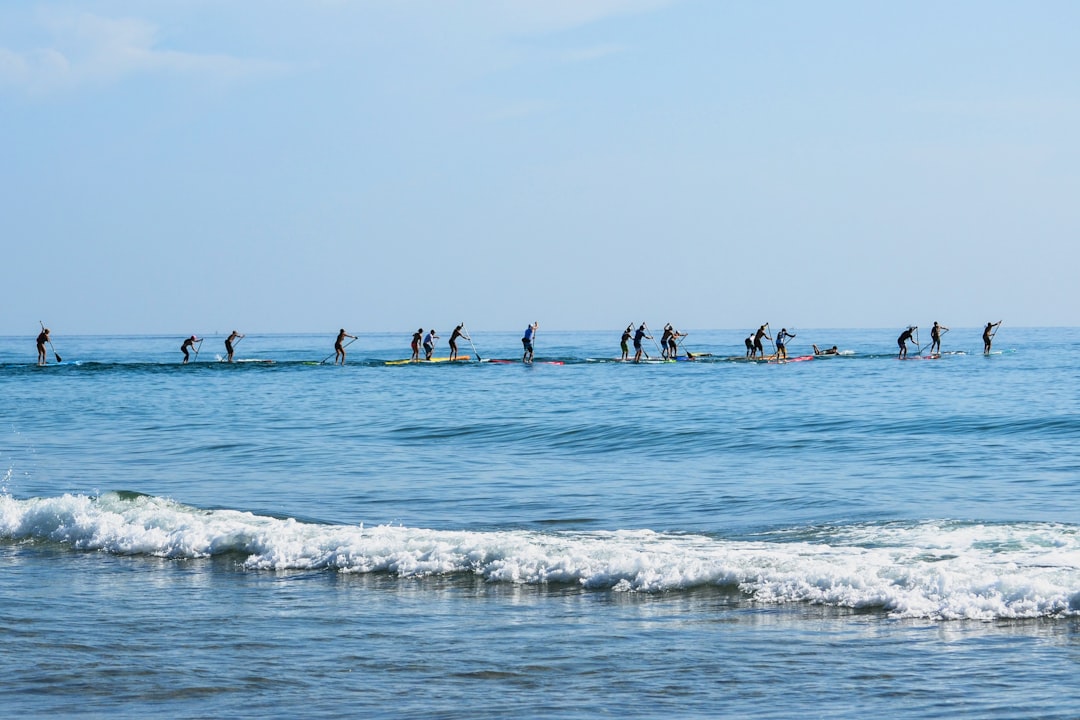 people on beach during daytime