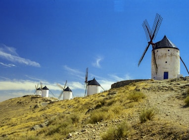 windmill on green grass field under blue sky during daytime
