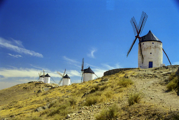 windmill on green grass field under blue sky during daytime