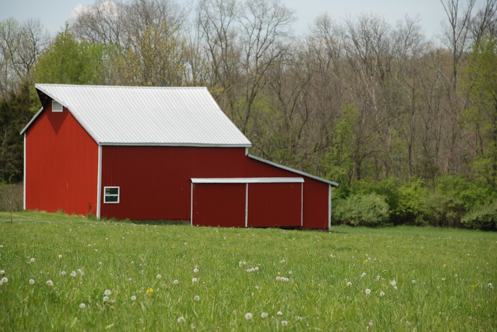 red and white barn house surrounded by green grass and trees