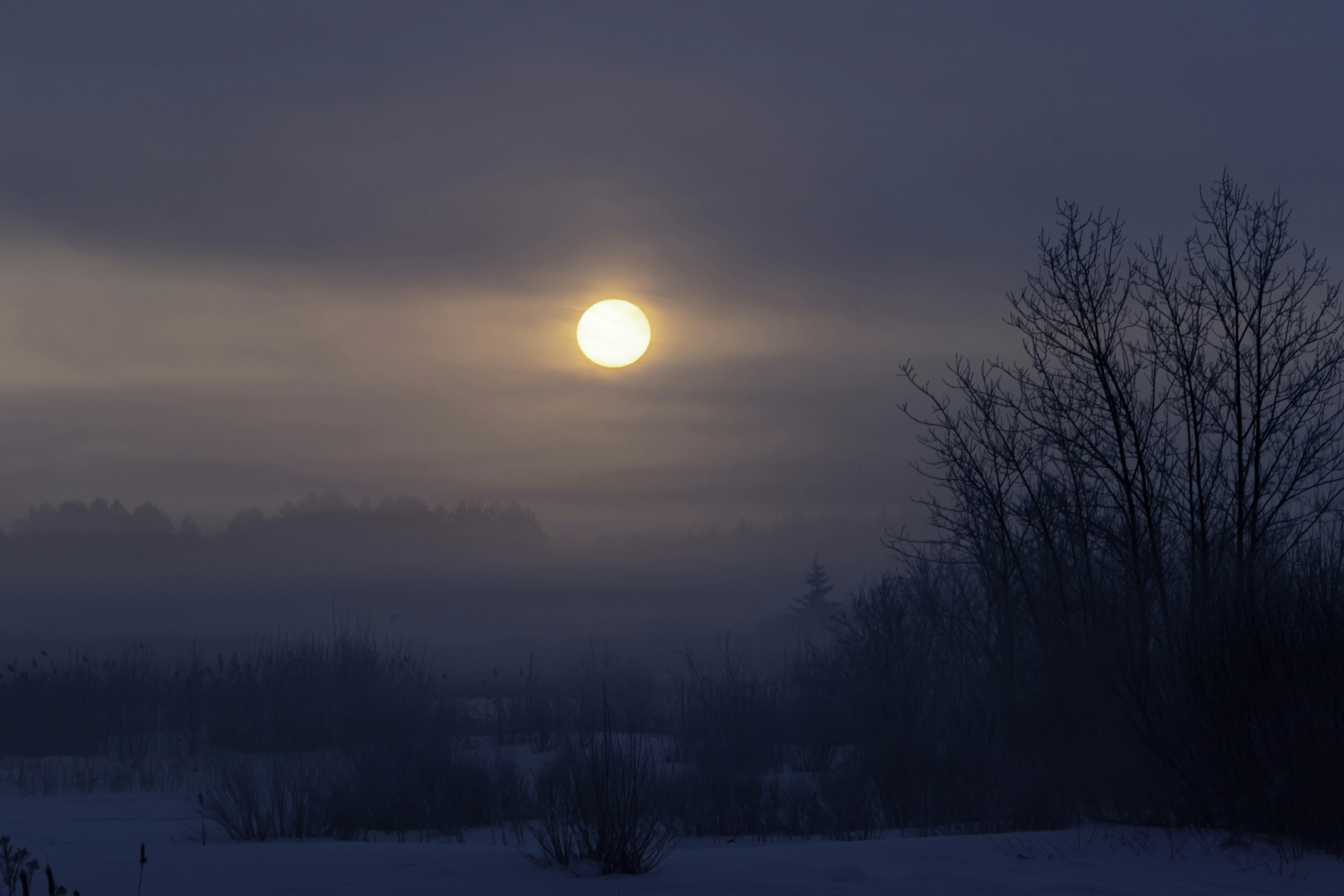 Photo by camerauthor