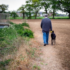 A smiling senior man walking his dog in a leafy neighborhood.