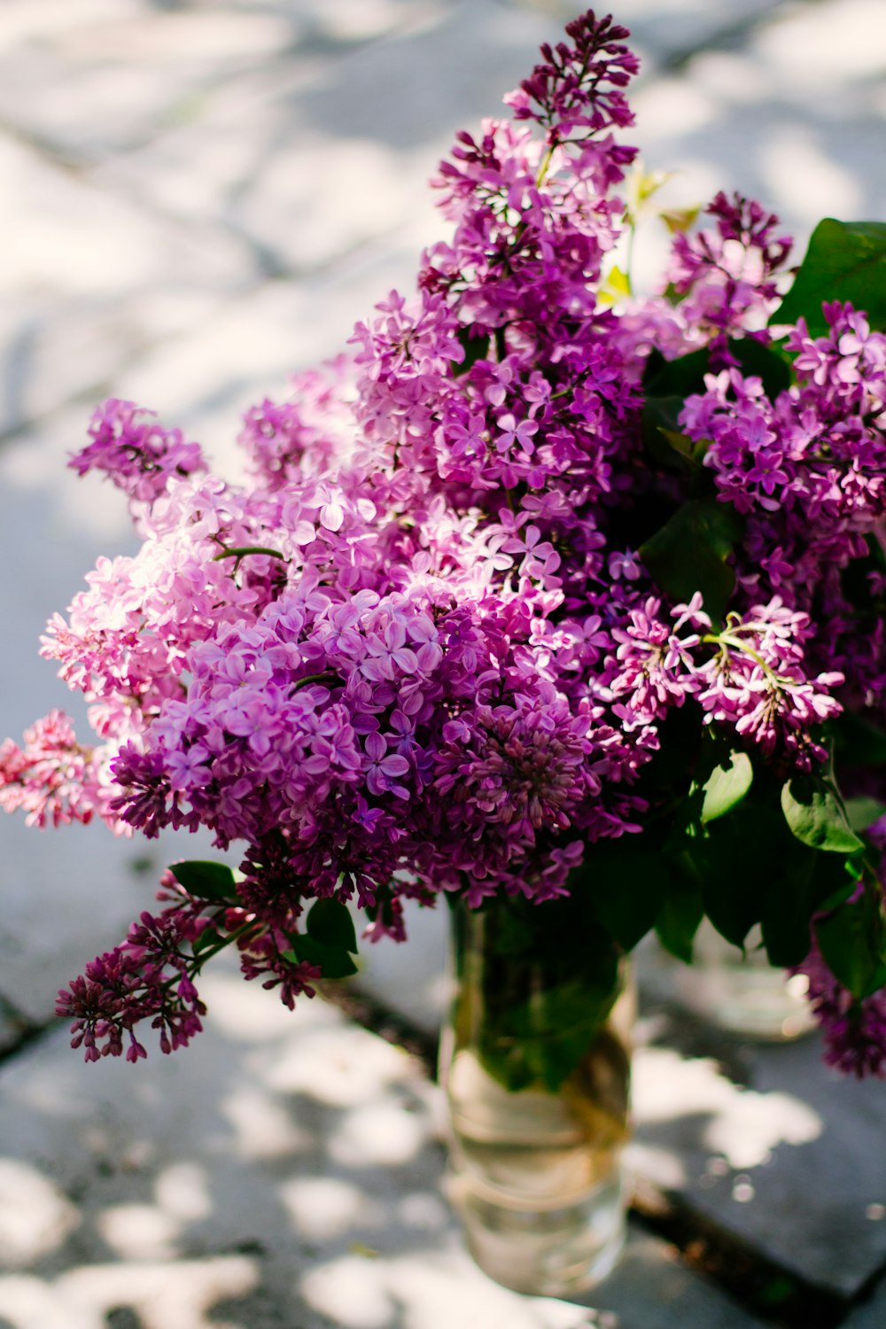 pink flowers in tilt shift lens