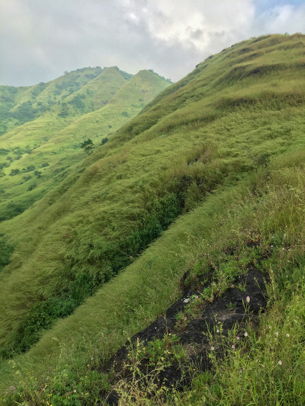 green grass field on hill during daytime