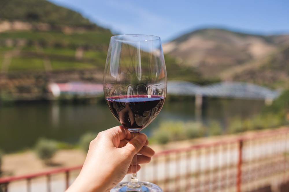 person holding clear wine glass with red wine