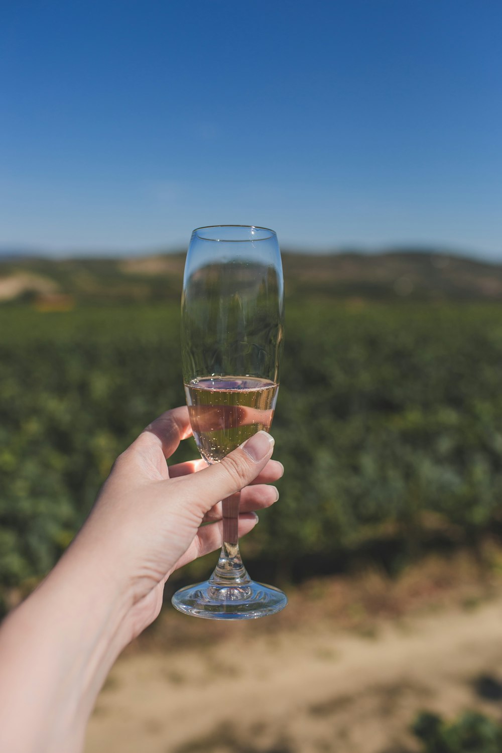 person holding clear wine glass with brown liquid