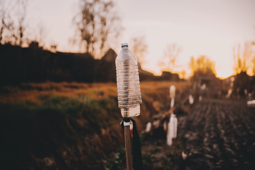 clear plastic bottle on brown wooden stick