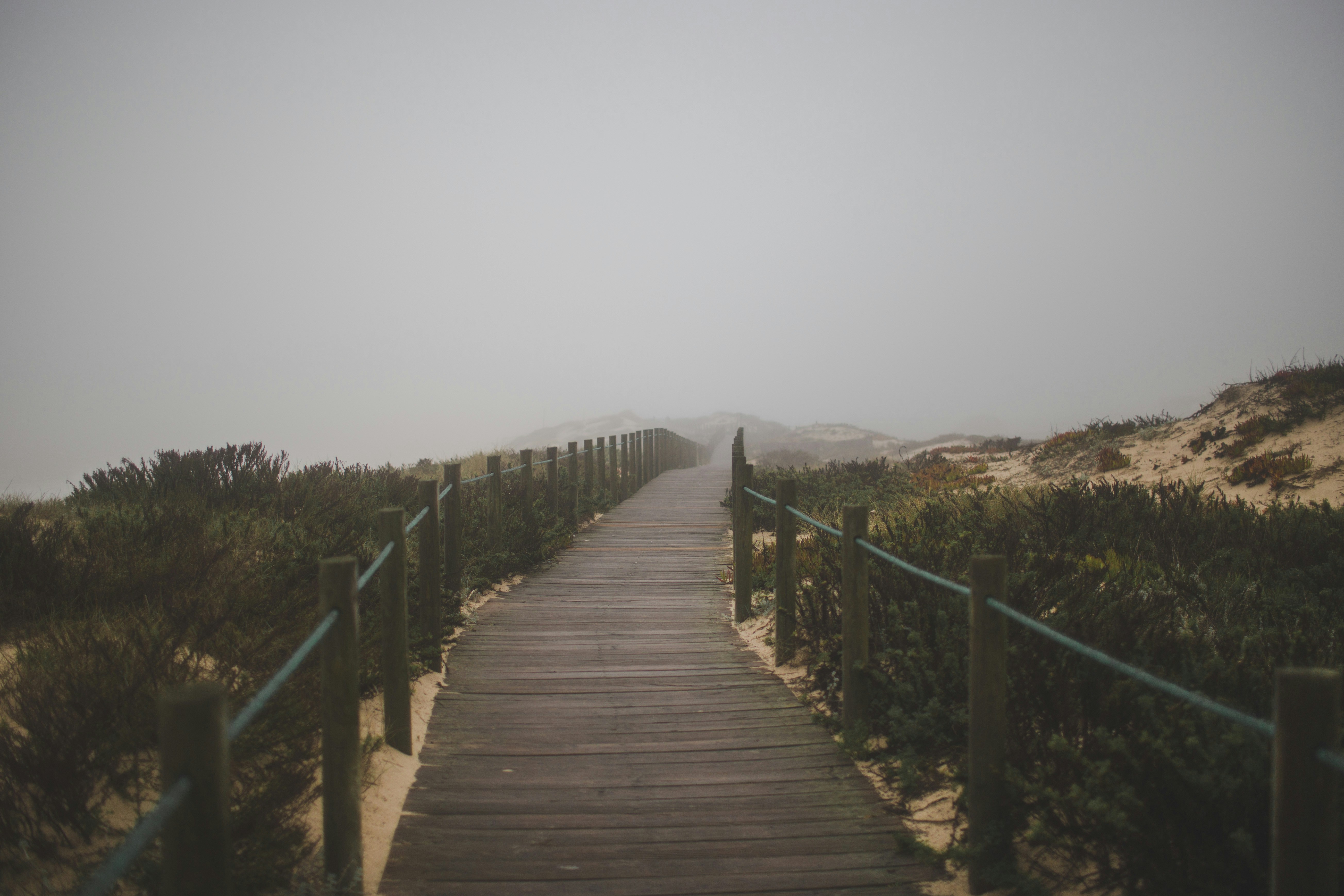 ponte de madeira marrom no campo verde da grama durante o dia