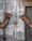 Two camels face each other, appearing to be in a conversation or intimate encounter. They are situated against a backdrop of a textured, industrial wall made of square stone tiles. A rusty metal pole divides the two camels in the center of the image.