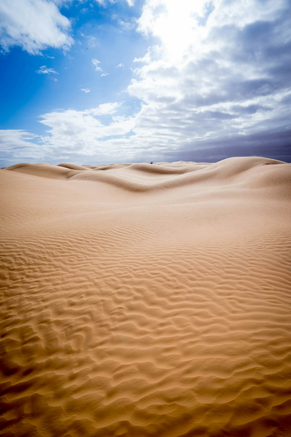 昼間の青空と白い雲の下の砂漠