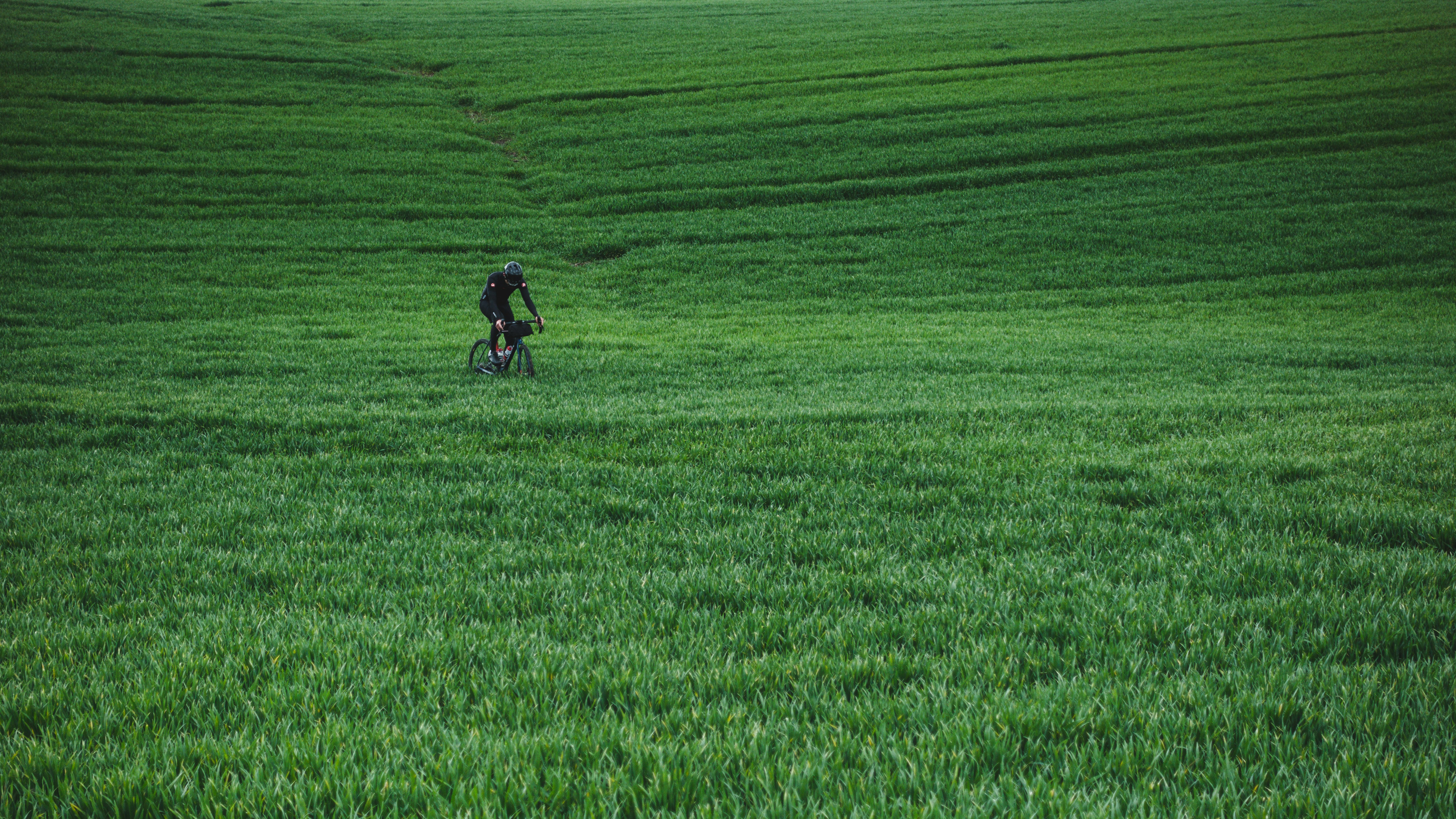 person in red jacket riding bicycle on green grass field during daytime